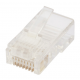 PLUG RJ45 8P8C C5E SOLID UTP 100PK